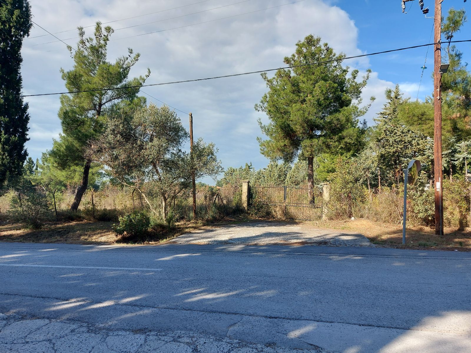 Αγροτεμάχιο 8094 τ.μ.