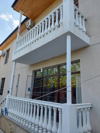 Private house with 10+ rooms for rent in Digomi 1-9