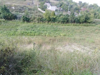 продам будинок і ділянку