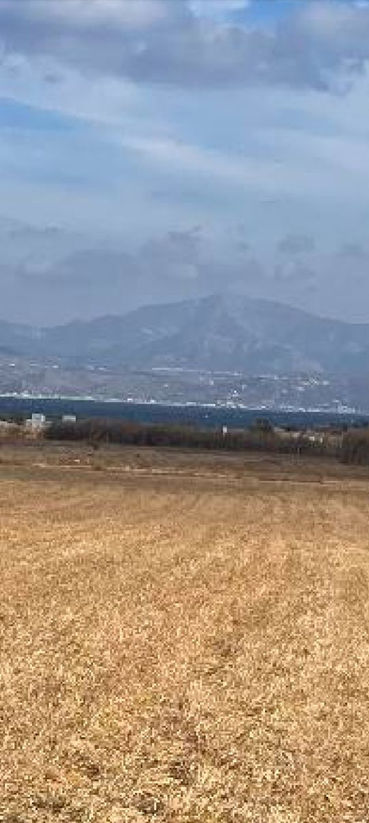 Αγροτεμάχιο 5386 τ.μ.