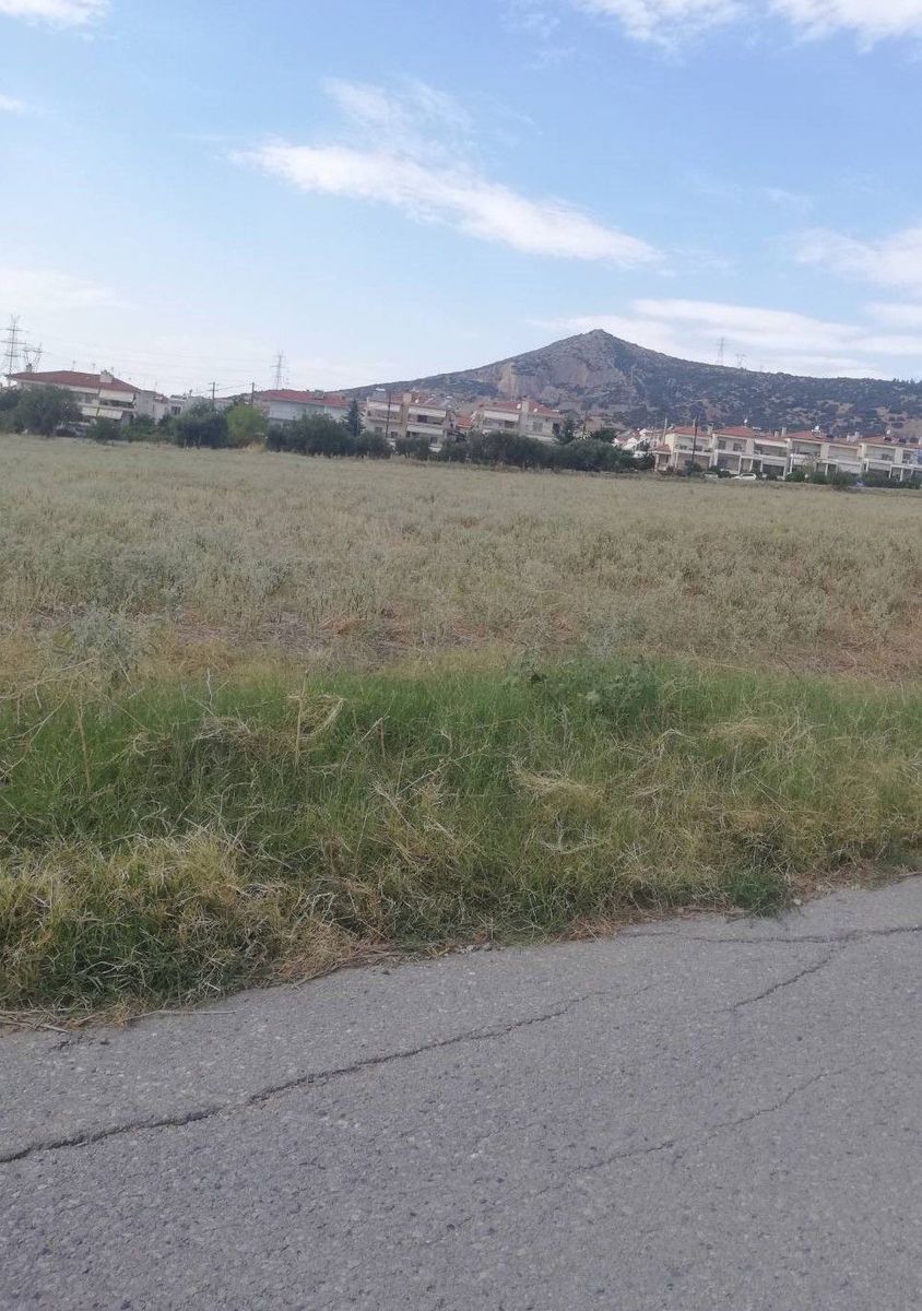 19800 m² Parcel