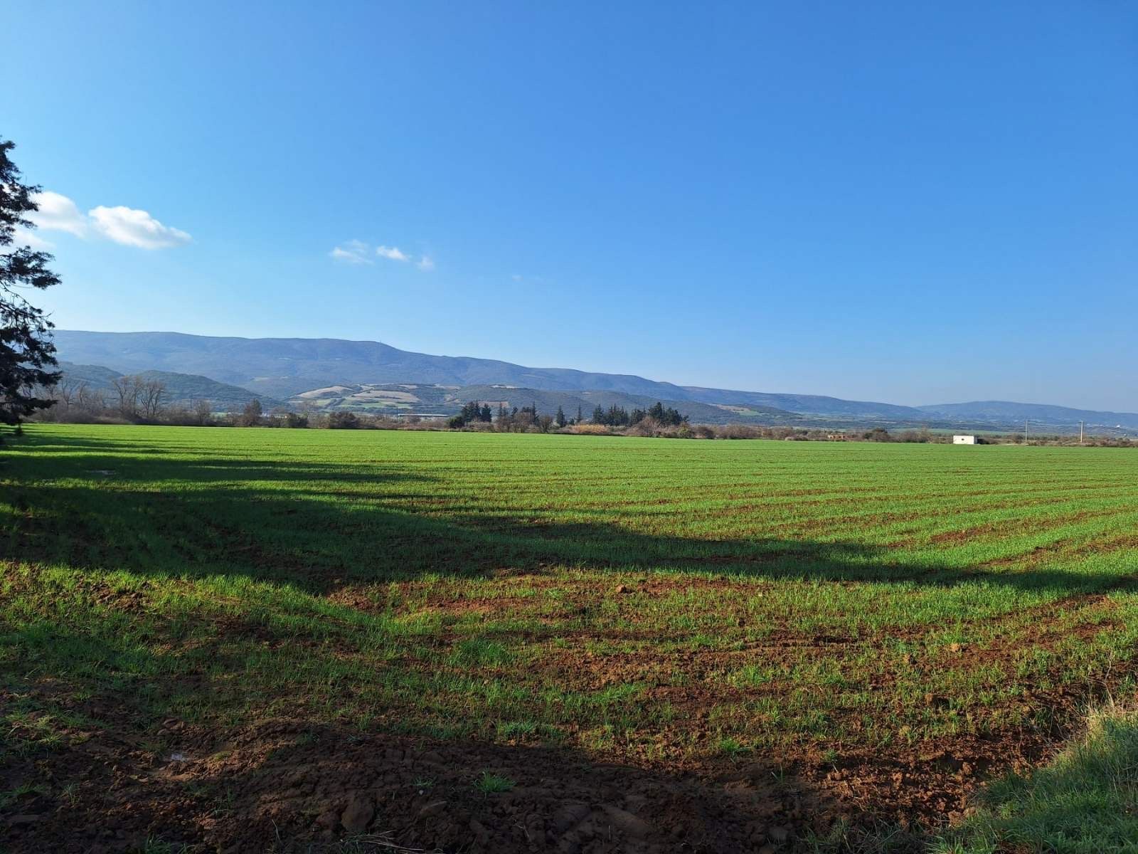60000 m² Parcel