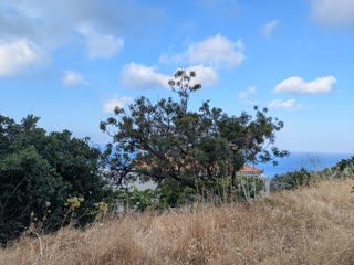 1100 m² Plot