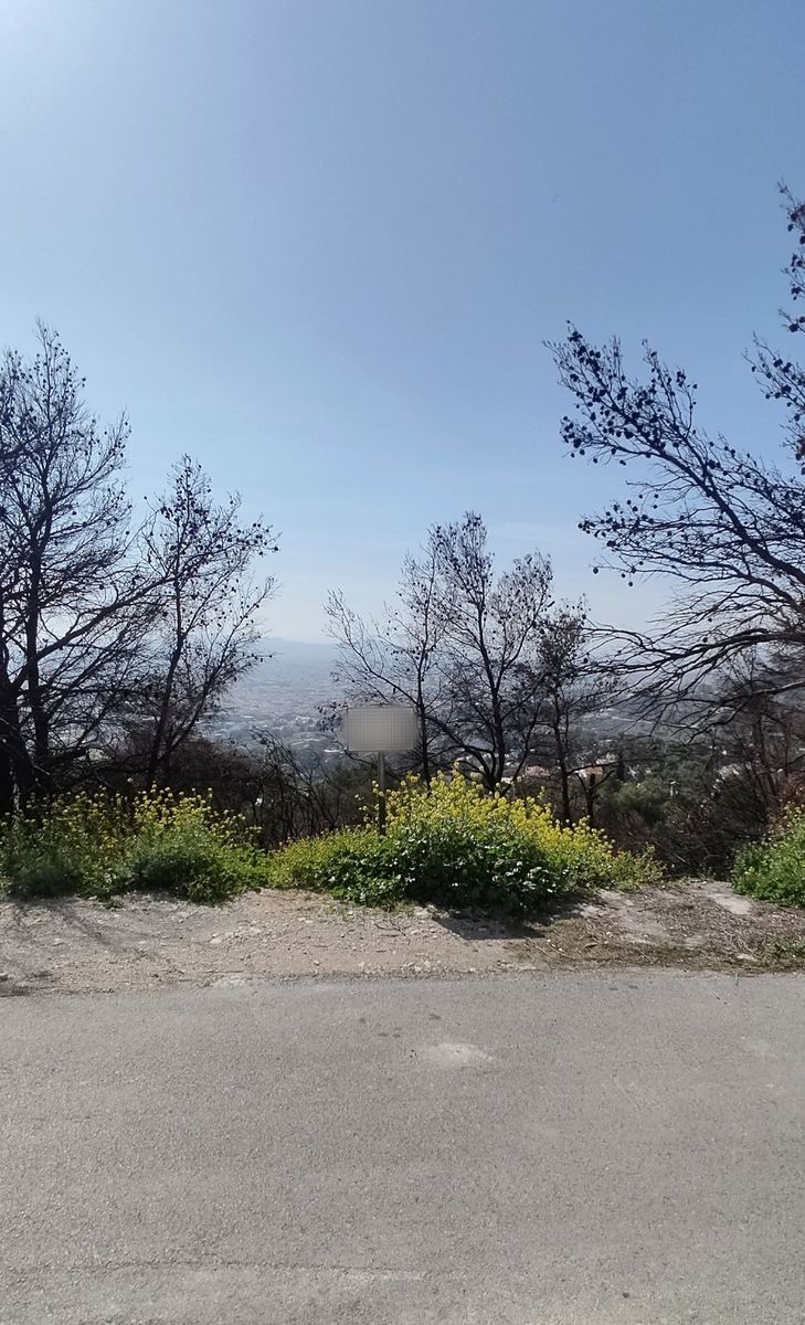1095 m² Plot