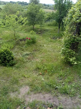 Dacha in Novye Derhachi