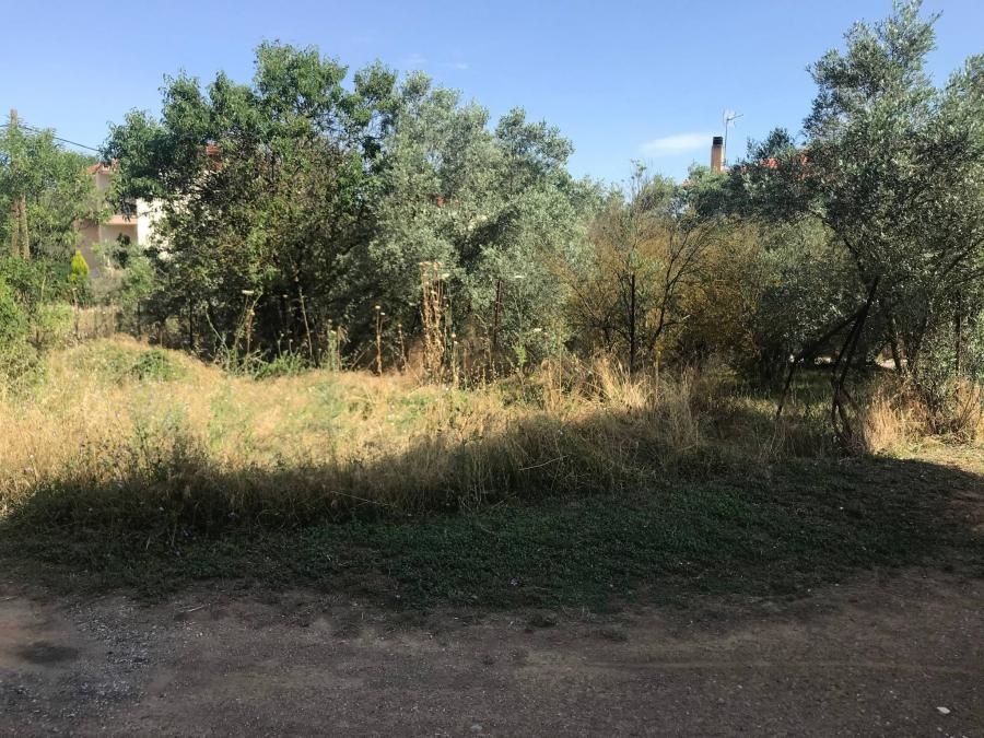 548 m² Plot