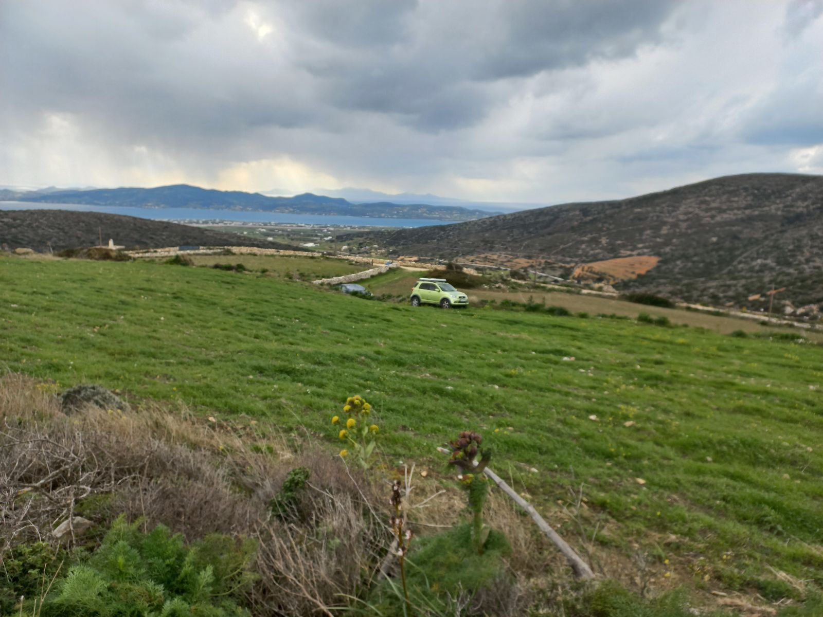 8000 m² Parcel