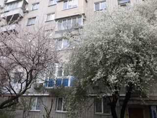 Затишна трикімнатна квартира Оболонський р-н