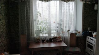 Продам 2х кімнатну квартиру в Куп'янськ-узловій