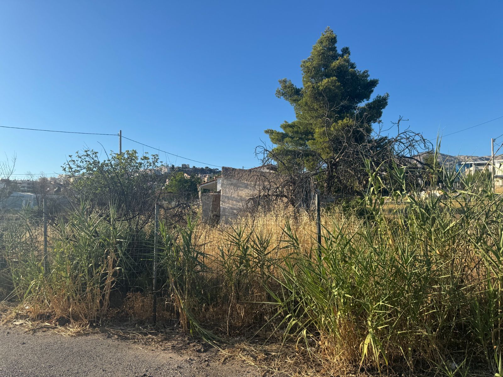Οικόπεδο 353τ.μ.