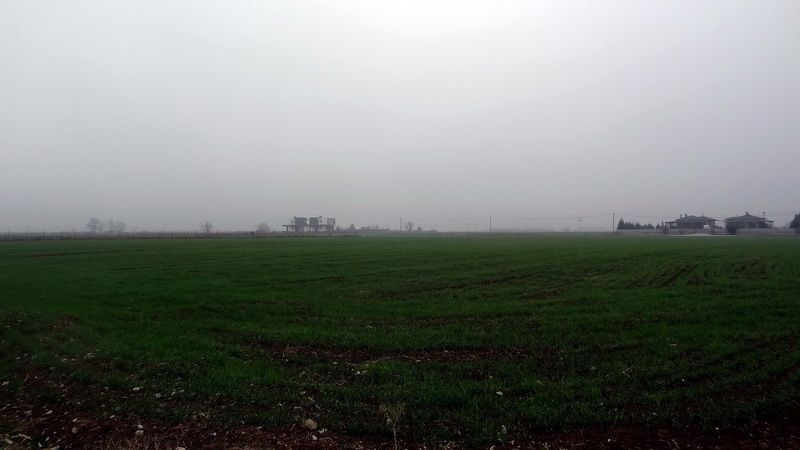 5000 m² Parcel