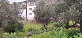 442 m² Plot