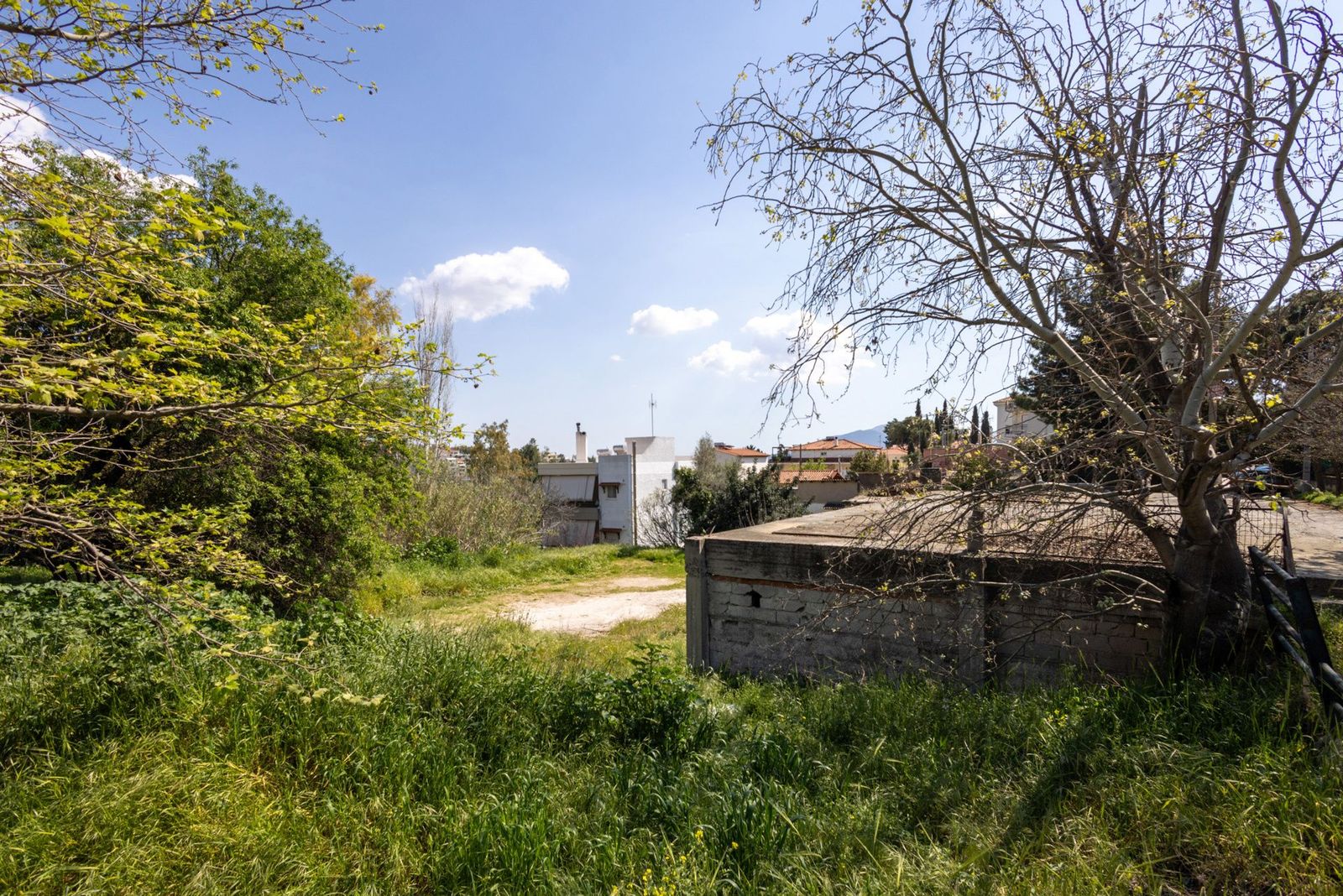 Οικόπεδο 1350 τ.μ.