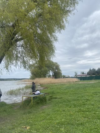 For Sale: Land, Staryi Saltiv