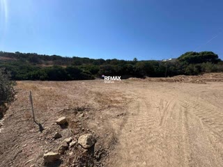 2193 m² Plot