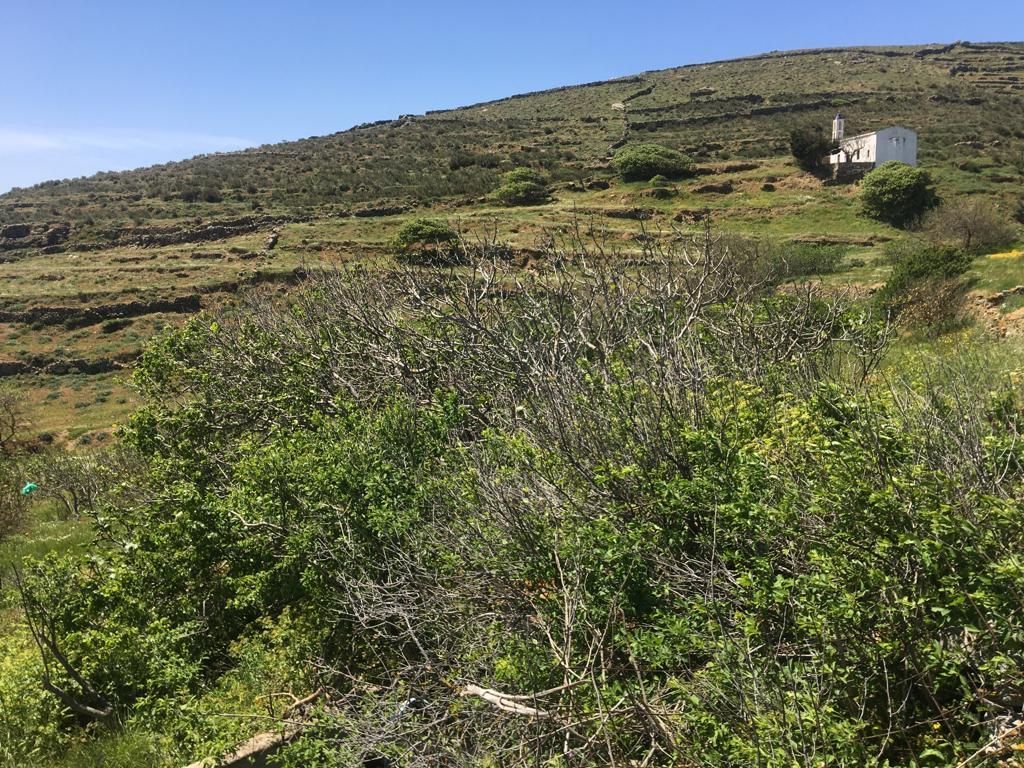 15978 m² Parcel