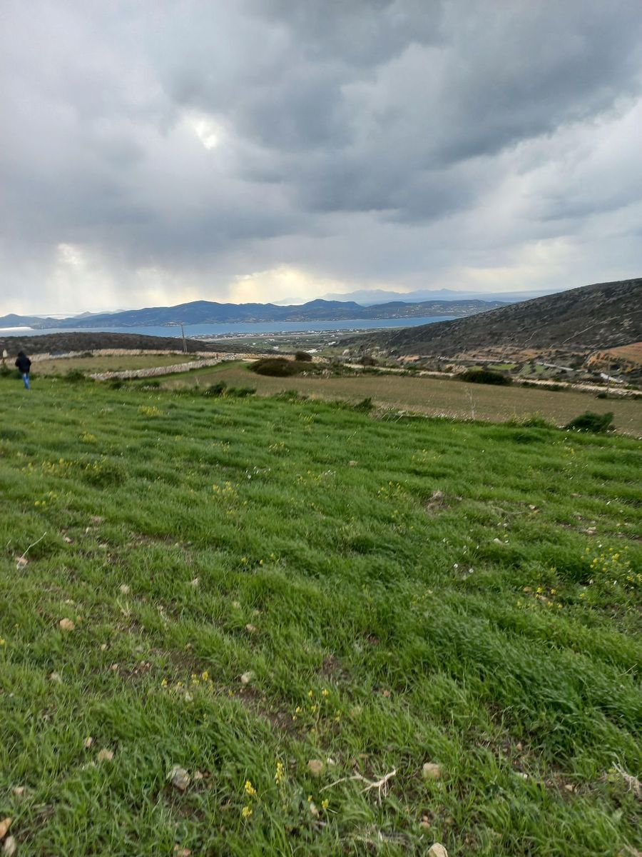8000 m² Parcel