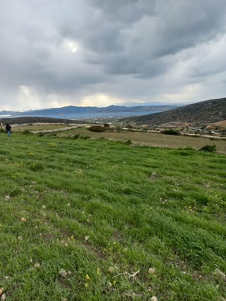 8000 m² Parcel