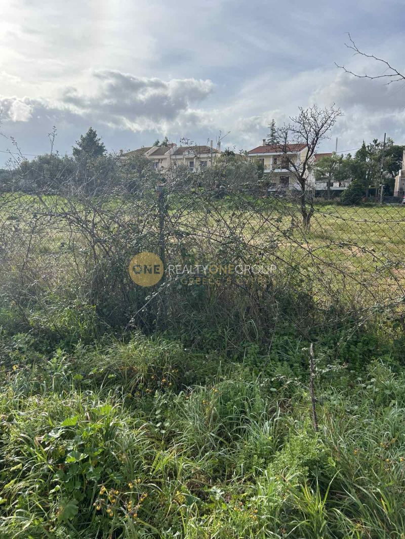 Οικόπεδο 1500 τ.μ.