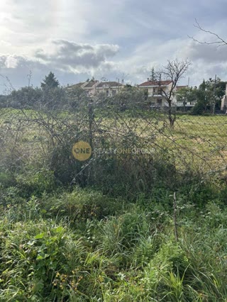1500 m² Plot
