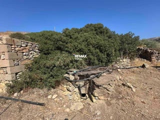 2193 m² Plot