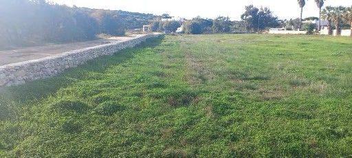 5338 m² Plot
