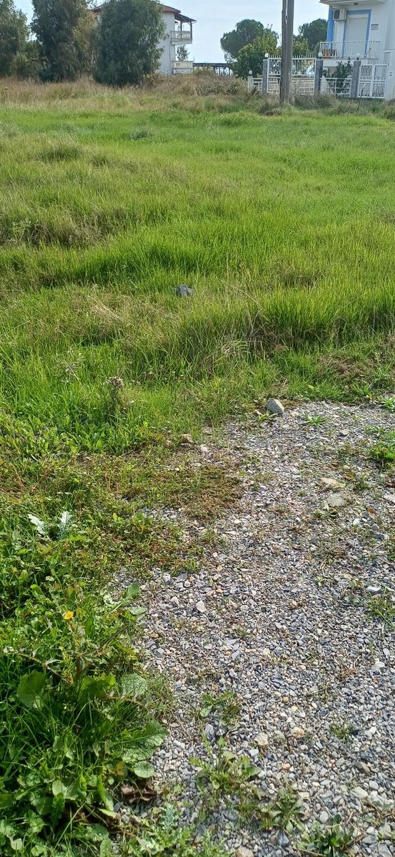 2450 m² Parcel