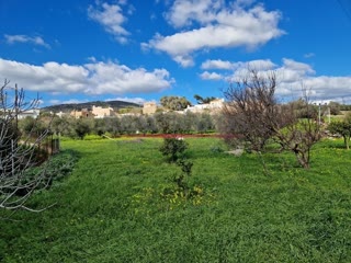 2039 m² Plot