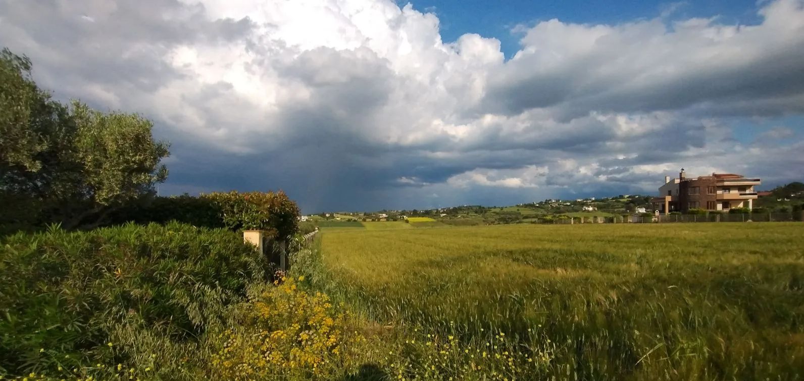 5600 m² Parcel