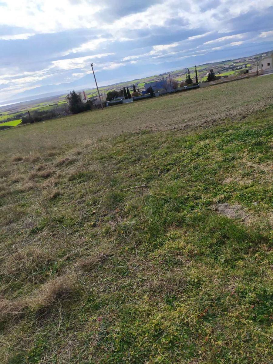6250 m² Parcel