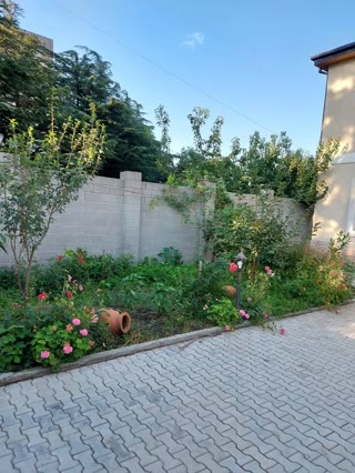 Private house with 10+ rooms for rent in Digomi 1-9