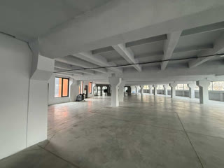 Warehouse/Industrial Space for Rent on Tsereteli~