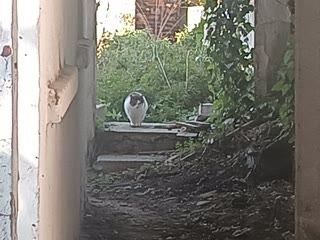 Отдельный дом, 72 м²