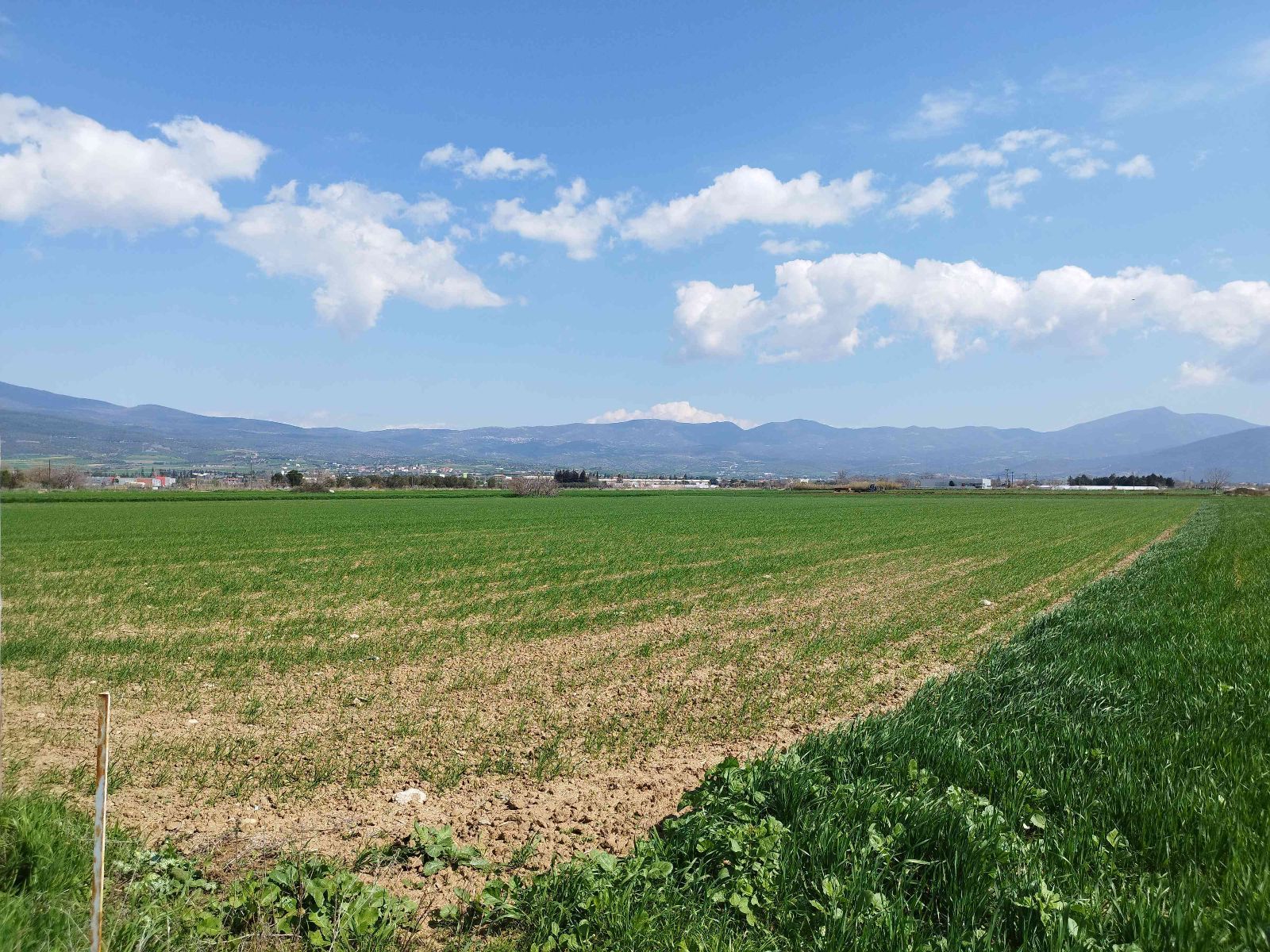 9000 m² Parcel