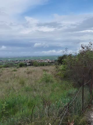7000 m² Parcel