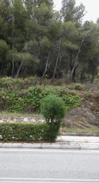 1,072 m² Plot