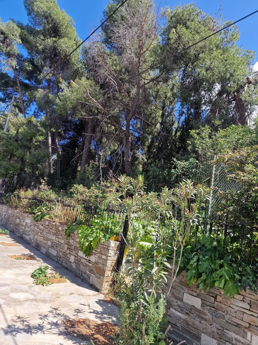Οικόπεδο 3400τ.μ.