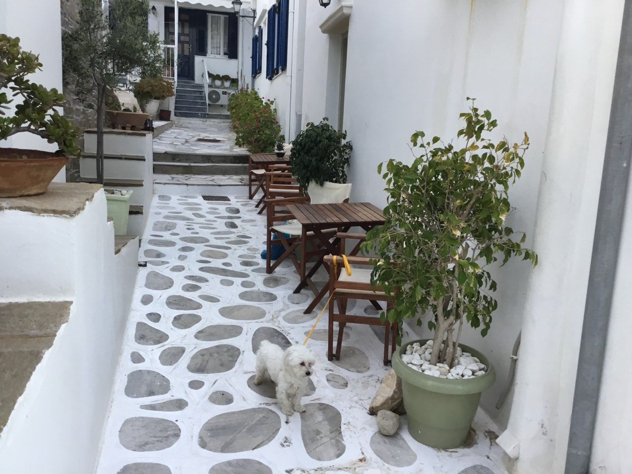 82 m² Apartment