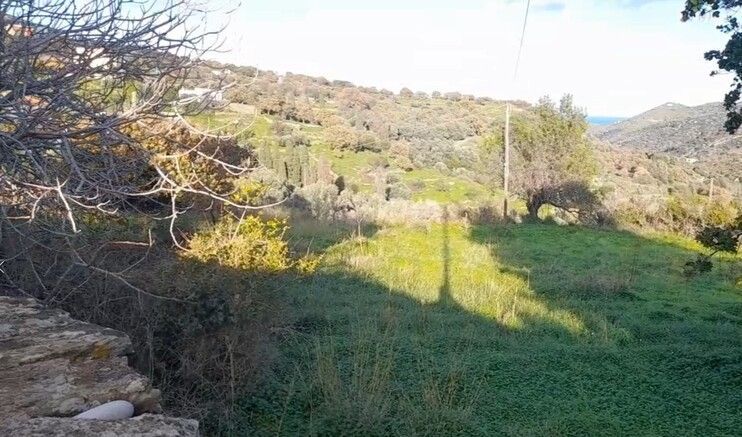 2300 m² Plot