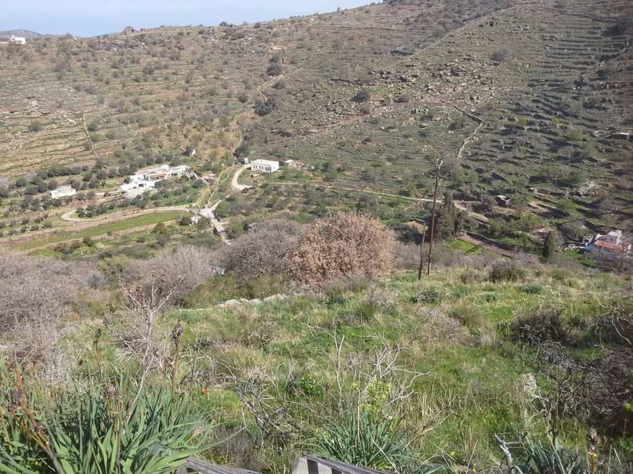 Αγροτεμάχιο 10162 τ.μ.
