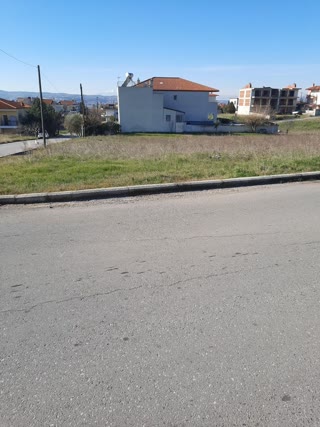 739 m² Plot