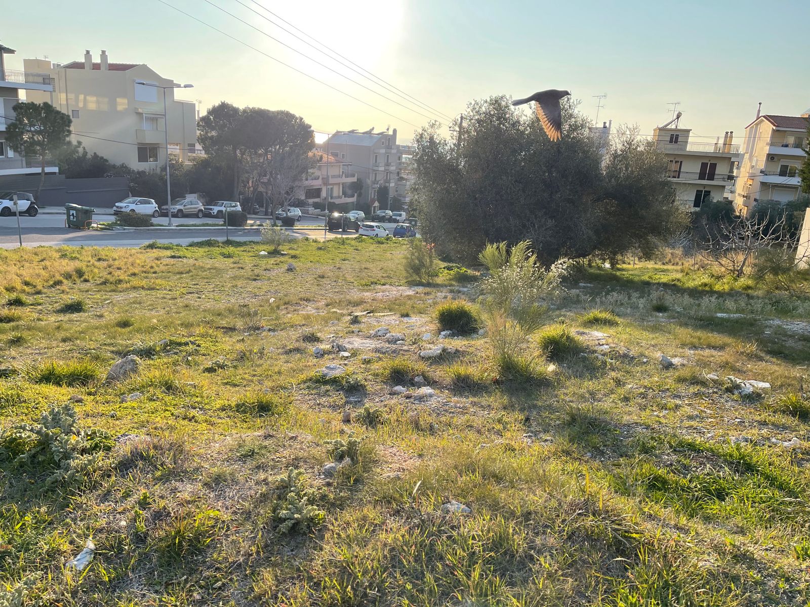 465 m² Plot
