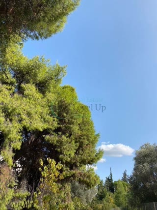 360 m² Plot