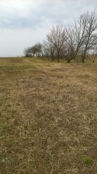 For Sale: Land for Construction