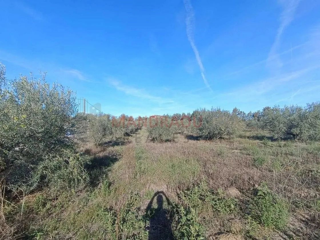 7500 m² Parcel