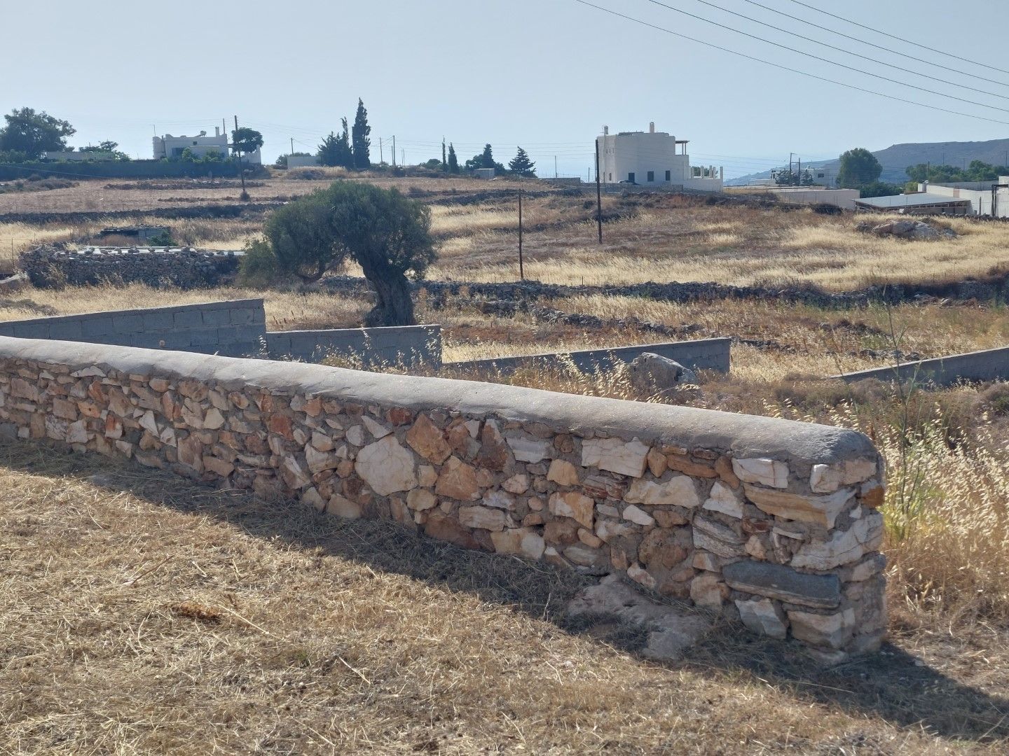 1000 m² Plot