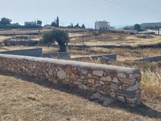 1000 m² Plot