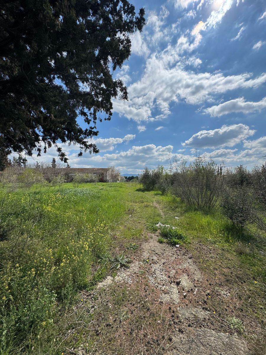 20,000 m² Plot