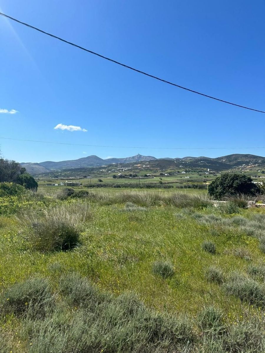 984 m² Plot