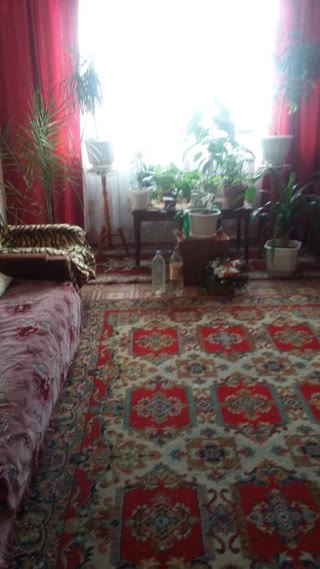 подам квартиру в Куп'янську